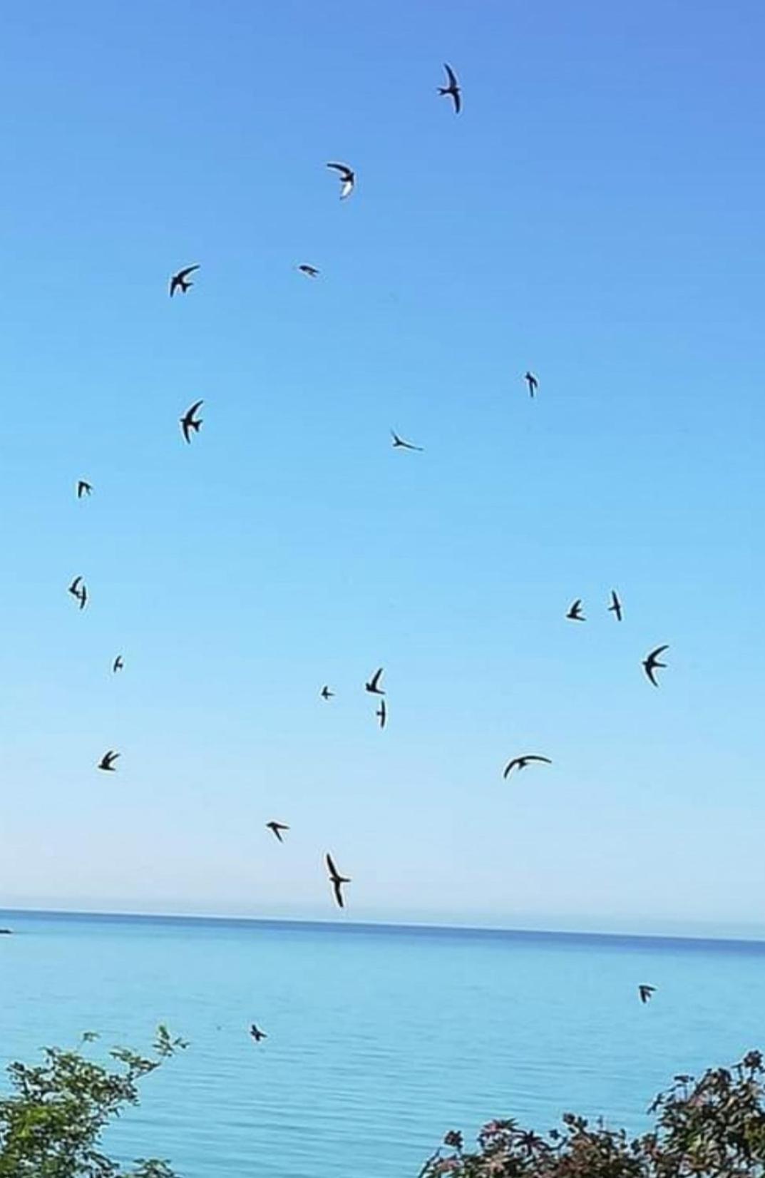 Mediterraneo Travel Gela Ngoại thất bức ảnh